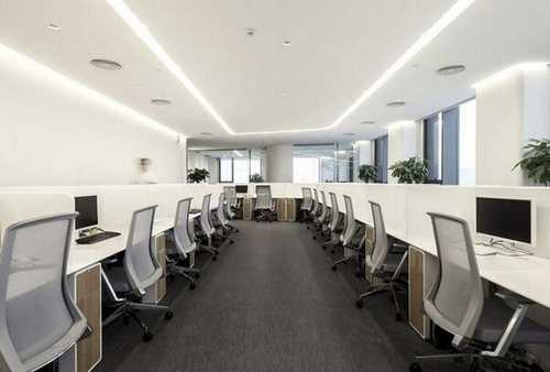 泉商大厦办公室绿植设计