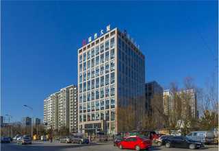 路桥吸甲醛植物零售现货