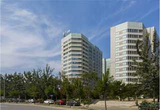 上党区沙棘茶吃法